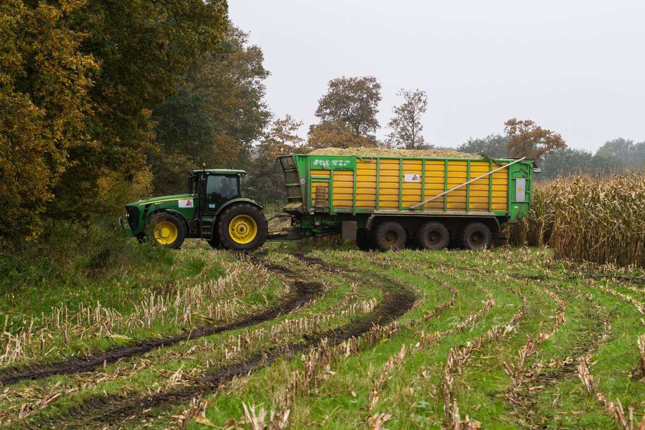 Bild 134 - Biogas am 21.10.12